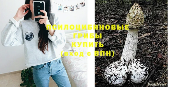 сатива Бородино