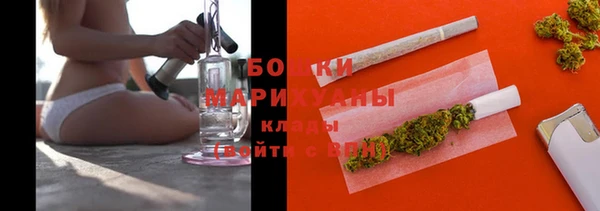 сатива Бородино