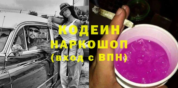 сатива Бородино