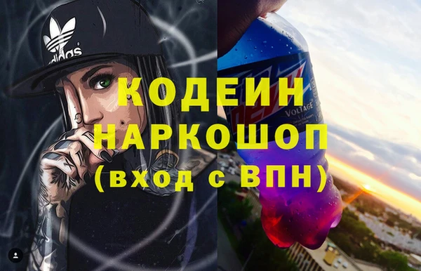 сатива Бородино