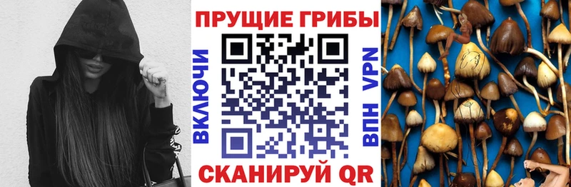 Псилоцибиновые грибы мицелий  KRAKEN ссылки  Гулькевичи  магазин продажи  